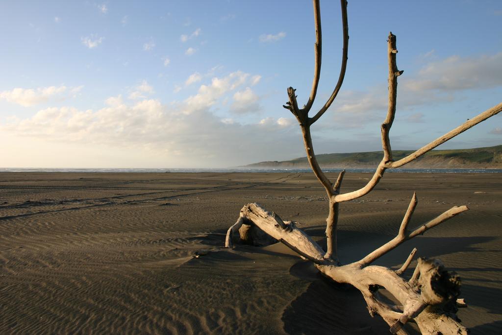 Port Waikato Holiday Park المظهر الخارجي الصورة